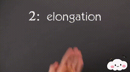 2. Elongation