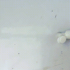 Using Toothpaste and Baking Soda