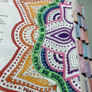 Pilot FriXion Clicker erasable gel pen-2