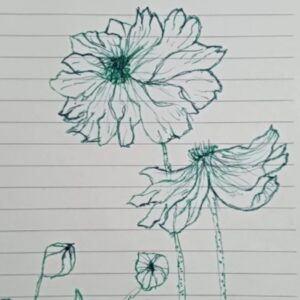 Uniball Vision Rollerball Pens-2