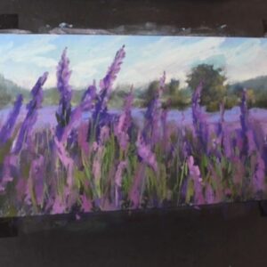 2. Lavender fields