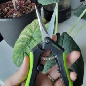 VIVOSUN Gardening Scissors-1