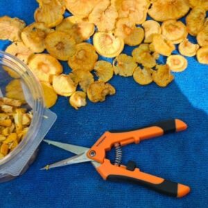 VIVOSUN Gardening Scissors-3