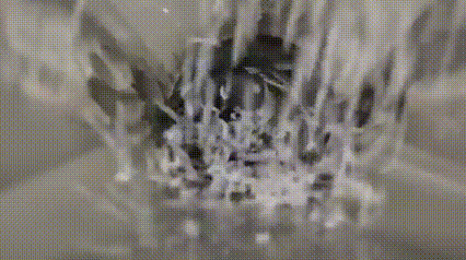 1. Raw material preparation-How Glue is Made