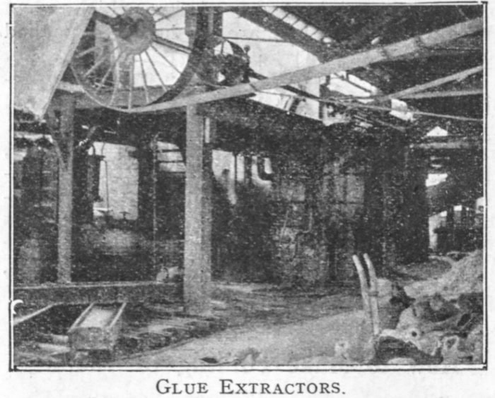 Middle Ages to 19th Century