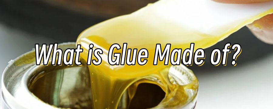 What is Glue Made of-4