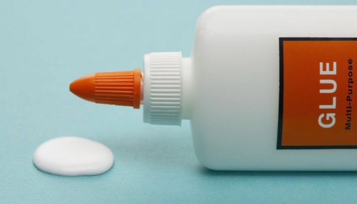 What is Glue Made of-Introduction