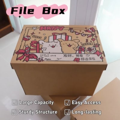 11. file box