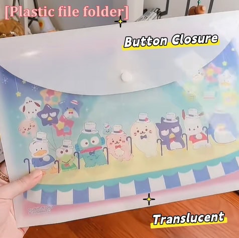 13. Plastic file folder